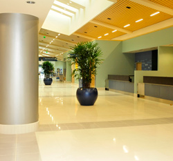 Panama Airport - Case Study 7